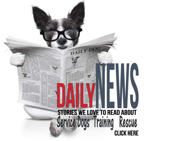 ADB|Paws for Life Daily News
