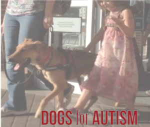 Service Dogs trained to assist People with Autism | Animals Deserve Better|Paws for Life Georgia