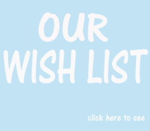 Animals Deserve Better| Paws for Life Wish List