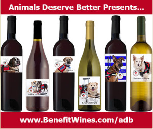 adb WINE EVENT image