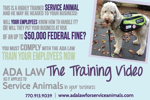 ADA LAW- The Training Video
