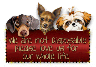 Animals Deserve Better-Dog Rescue Marietta Georgia We are not Disposable
