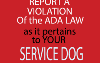 Report an ADA LAW Violation via ADAlaw-thetrainingvideo.com