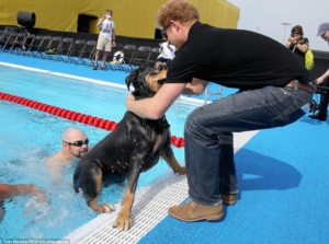 Prince Harry with a Service Dog at the Invictus Games 2016|Paws for Life Georgia