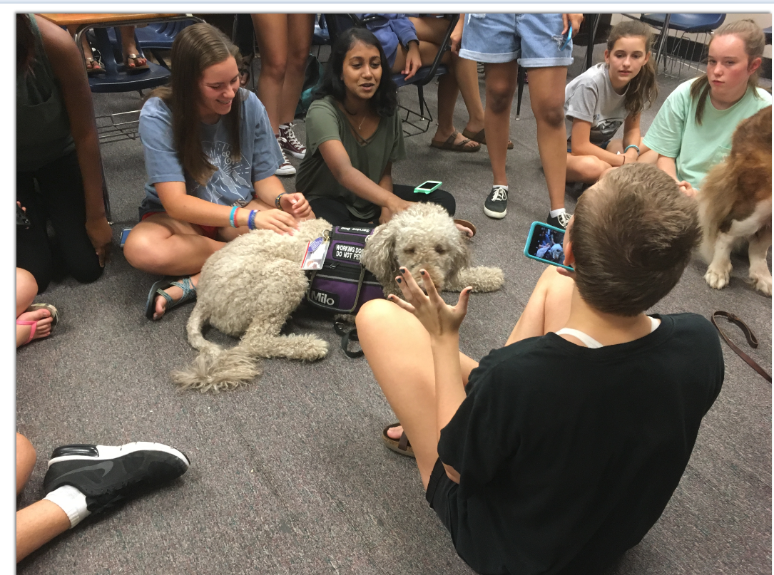 Paws for LIfe Thearpy Dogs go to HIgh School