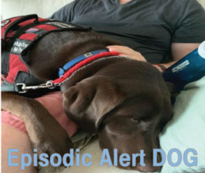 Episodic Alert Dogs, Paws for Life Service Dogs