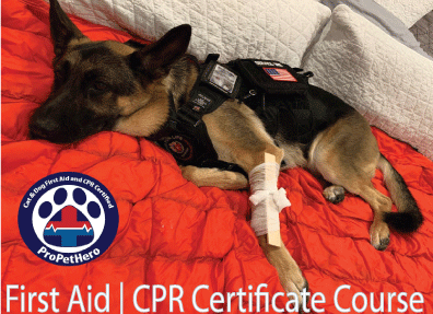 Paws for Life USA First Aid & CPR Certificate Course