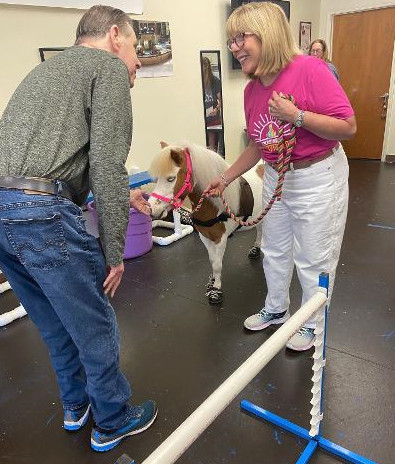 Miniature Therapy Horse