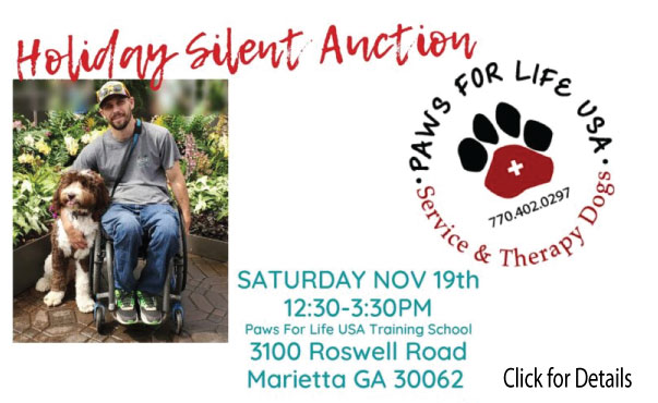 paws for life usa holiday silent auction 22